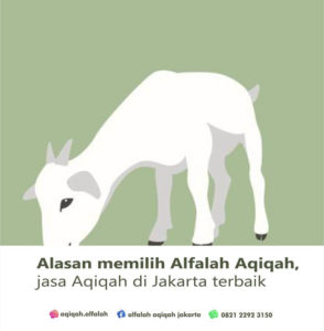 Alasan memilih Alfalah Aqiqah, jasa Aqiqah di Jakarta terbaik