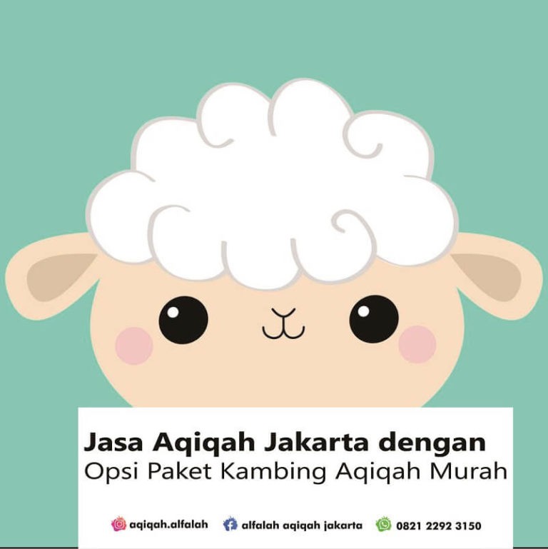 Jasa Aqiqah Jakarta dengan Opsi Paket Kambing Aqiqah Murah