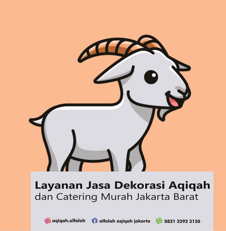Layanan Jasa Dekorasi Aqiqah dan Catering Murah Jakarta Barat