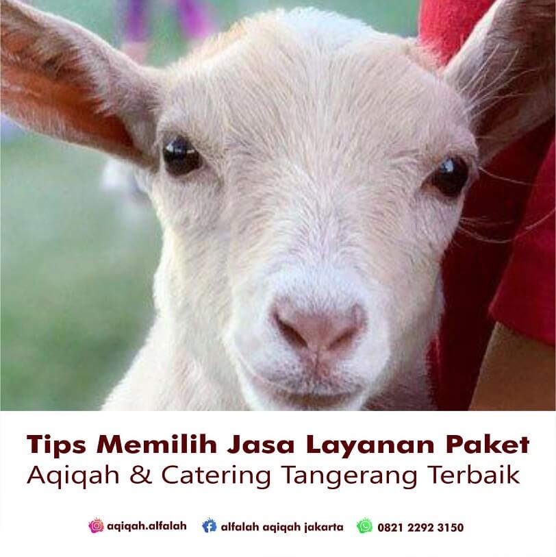 Tips Memilih Jasa Layanan Paket Aqiqah & Catering Tangerang Terbaik
